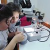 dsc01745