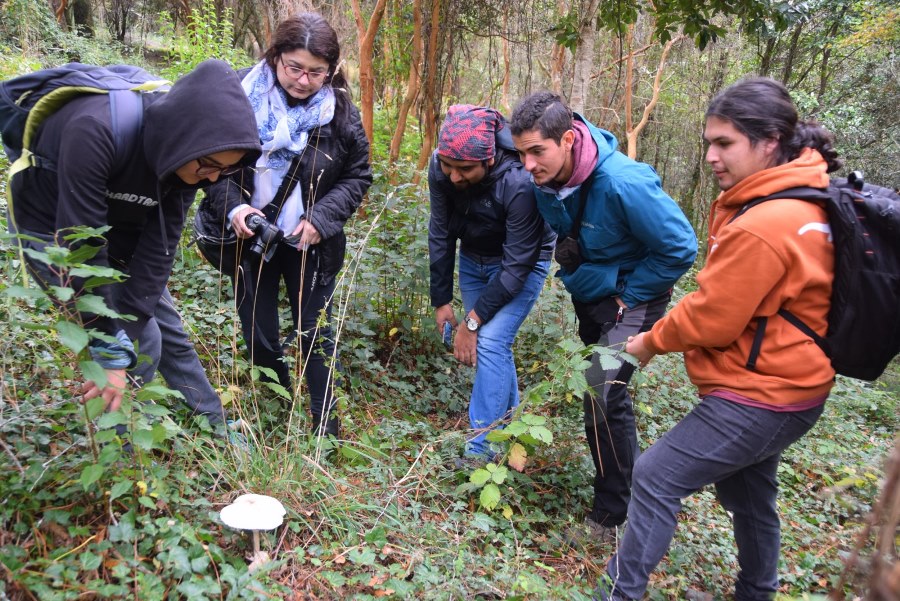 Producción de Hongos Comestibles despierta gran interés en estudiantes de la UACh