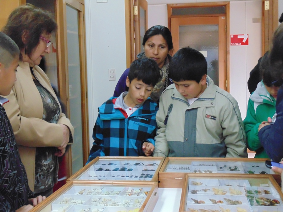 Diversas actividades en la UACh  entusiasmaron niños de Colegio Lidia González Barriga