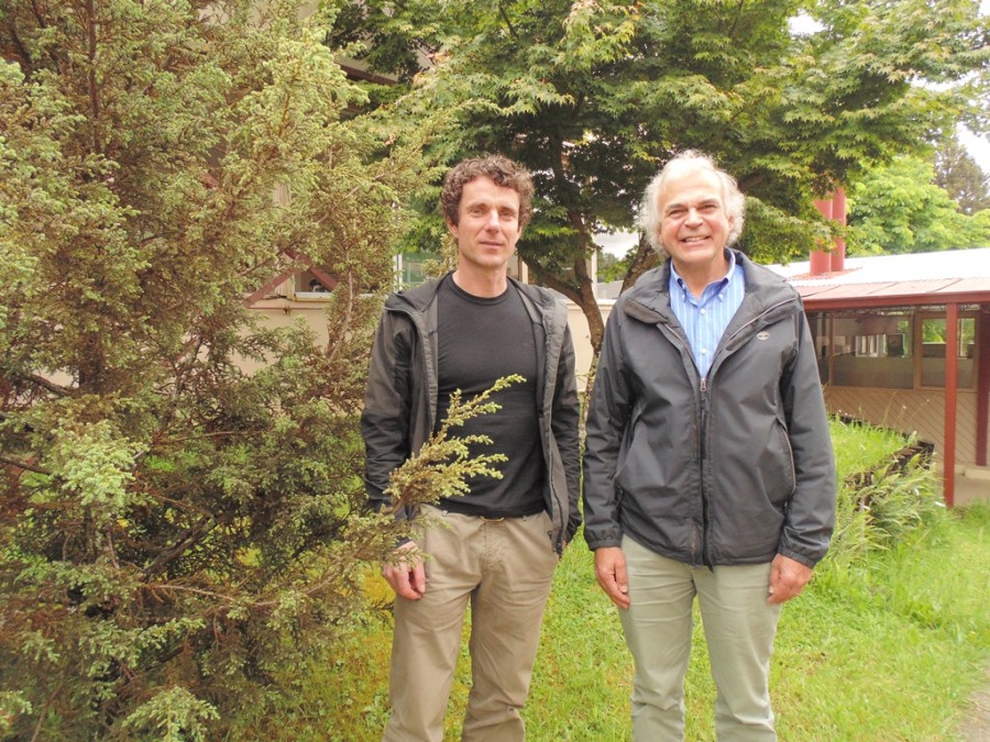 “El principal uso de los bosques no debiera ser la mitigación del cambio climático”