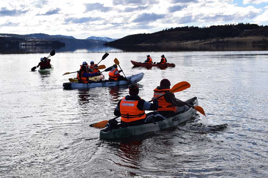 Bird kayak: Combinando el deporte con el avistamiento de aves
