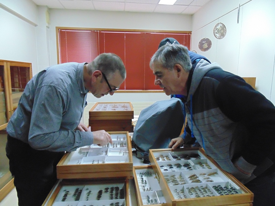 Aficionado a la entomología visita Colección Krahmer