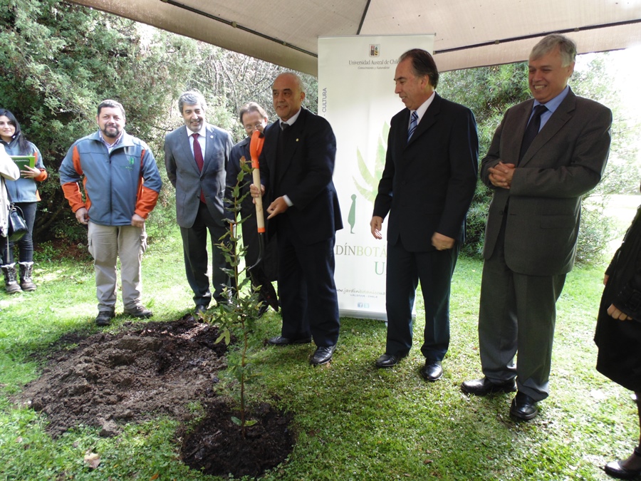 Ministro de Agricultura planta árbol nativo en el Jardín Botánico