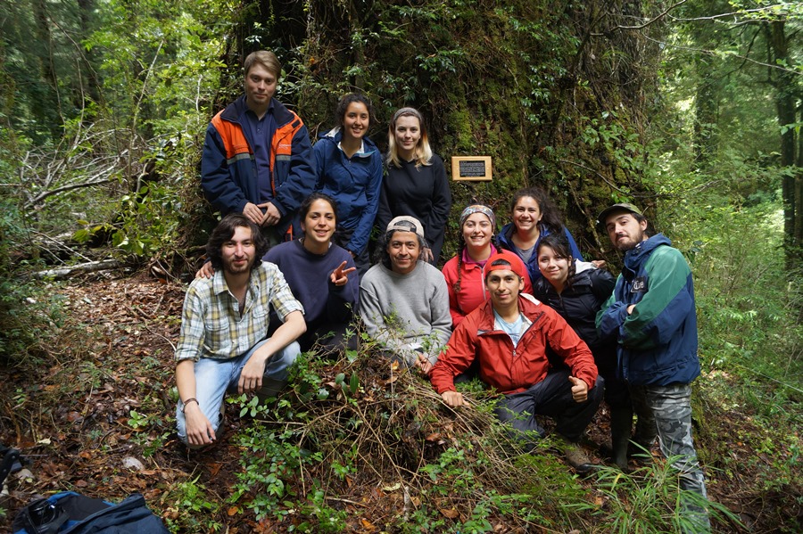 Placa en antiguo raulí rinde homenaje a guardaparques de San Pablo de Tregua