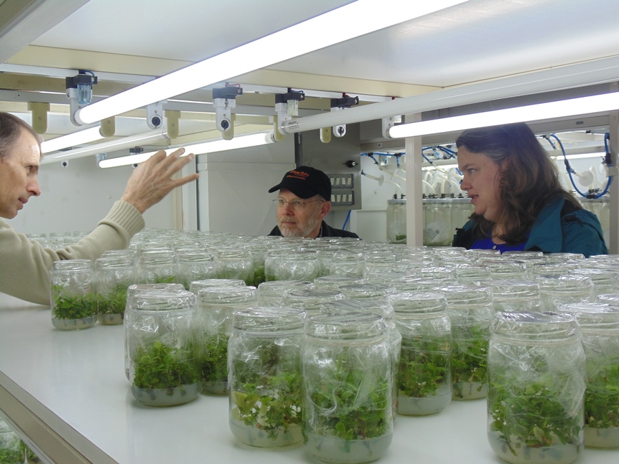 Oregon State University busca futuros intercambios estudiantiles  con la Facultad de Ciencias Forestales y Recursos Naturales de la UACh