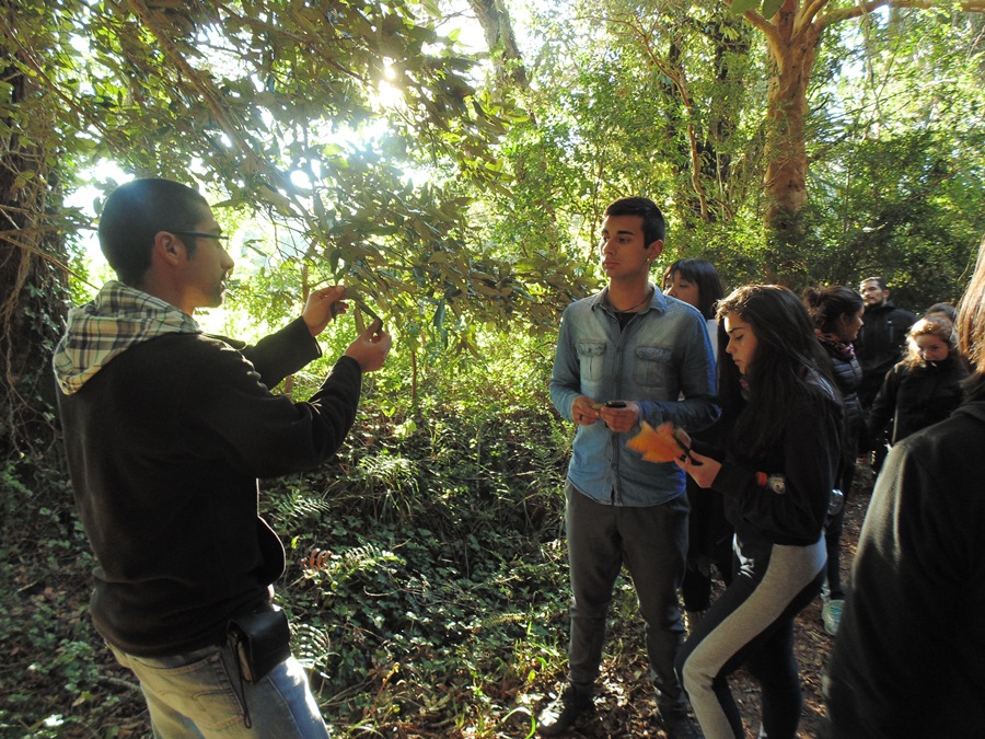 INSAT conoció Arboretum de la UACh