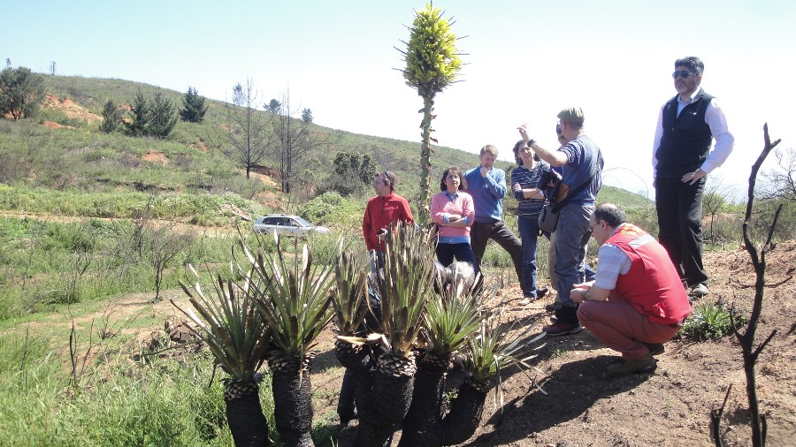 Seminario discute sobre Ecología del Fuego