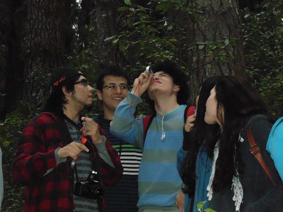 Estudiantes conocen en terreno áreas de desarrollo de Ingeniería Forestal