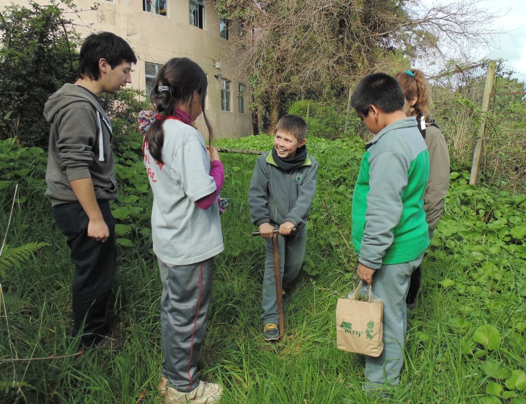 Estudiantes de la Escuela Juan Boch de Niebla plantaron especies nativas