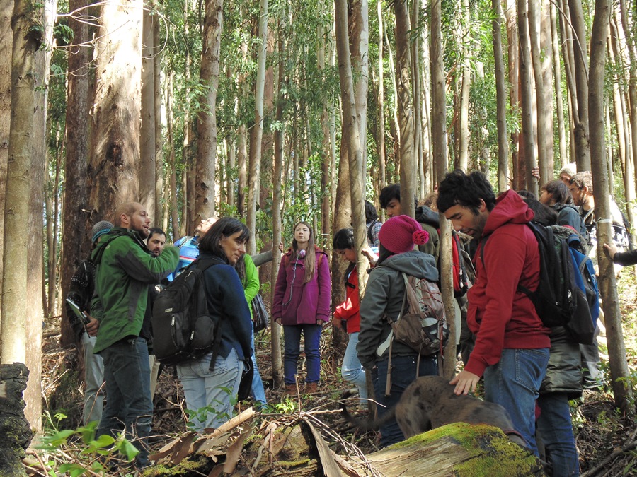 Estudiantes conocen especies invasoras en el Arboretum