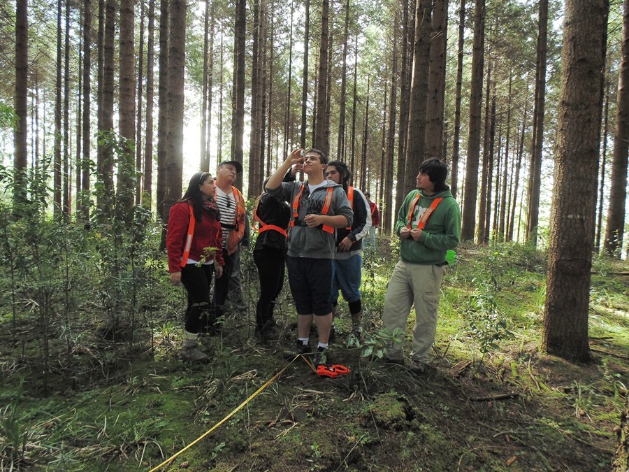 UACh entre las mejores a nivel mundial para estudiar carreras del área de Agronomía y Forestal