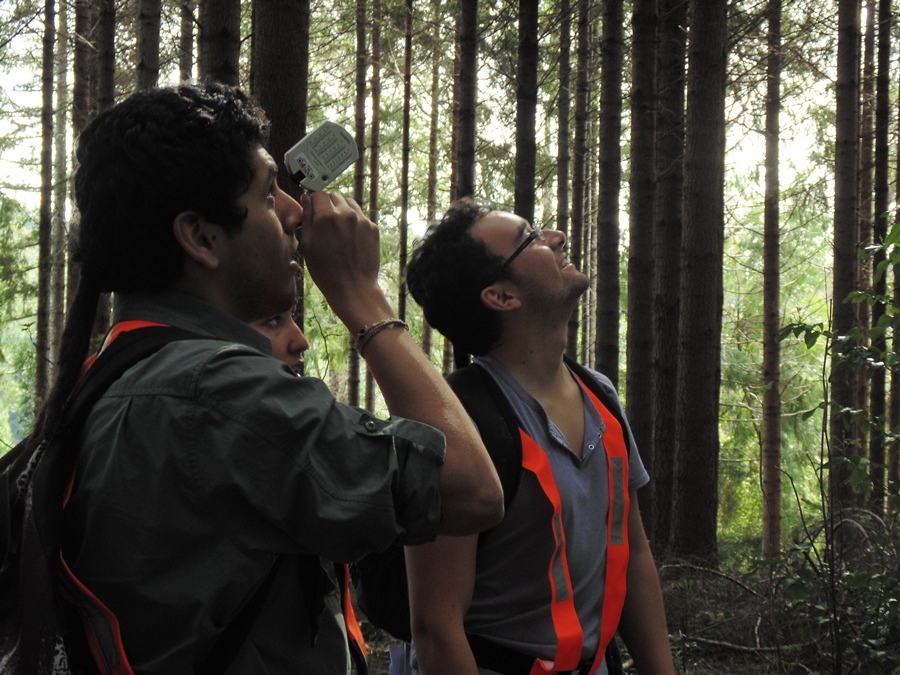 Estudiantes conocen silvicultura de plantaciones y ambiente en Las Palmas