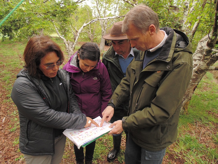 Ejecutiva de FONDEF visita en terreno proyecto de mejoramiento genético de raulí