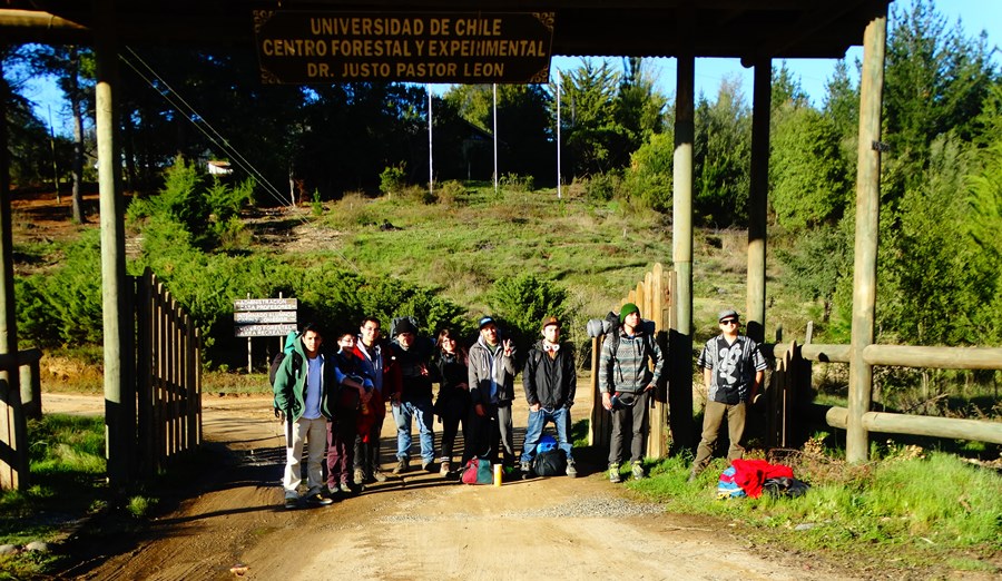 Invitan a participar del XI Debate Forestal Maderero