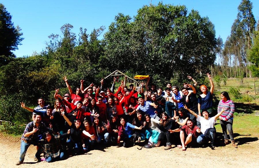 Exitosa participación de la UACh en Debate Forestal Maderero