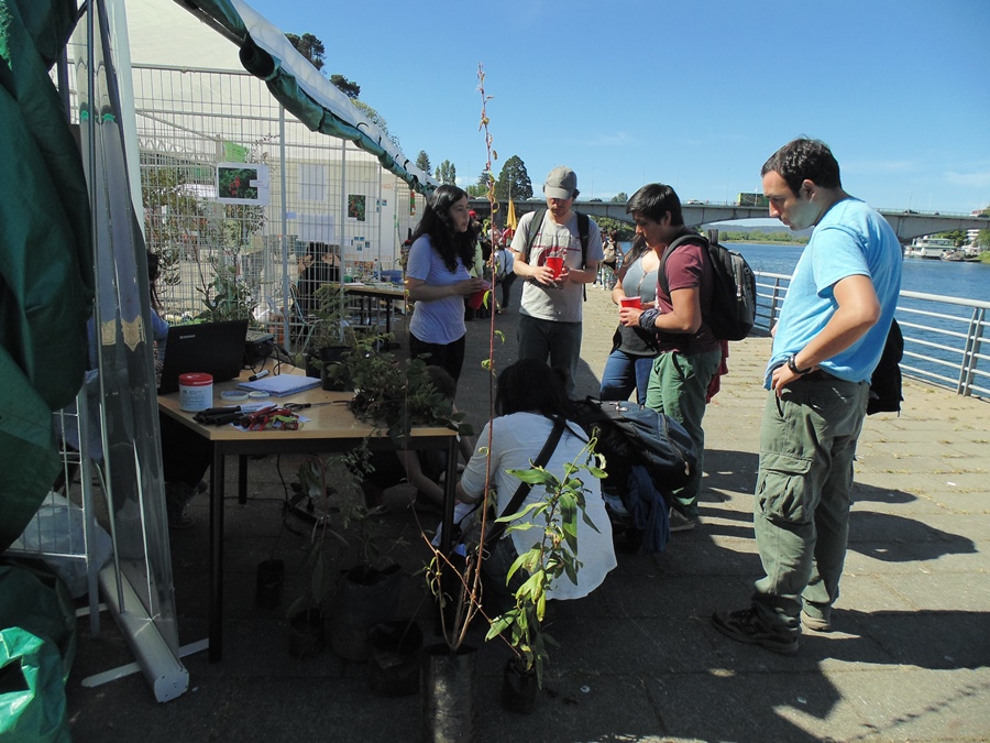 En 5° Feria de Biodiversidad estudiantes impartieron clínica de propagación  vegetativa de especies nativas