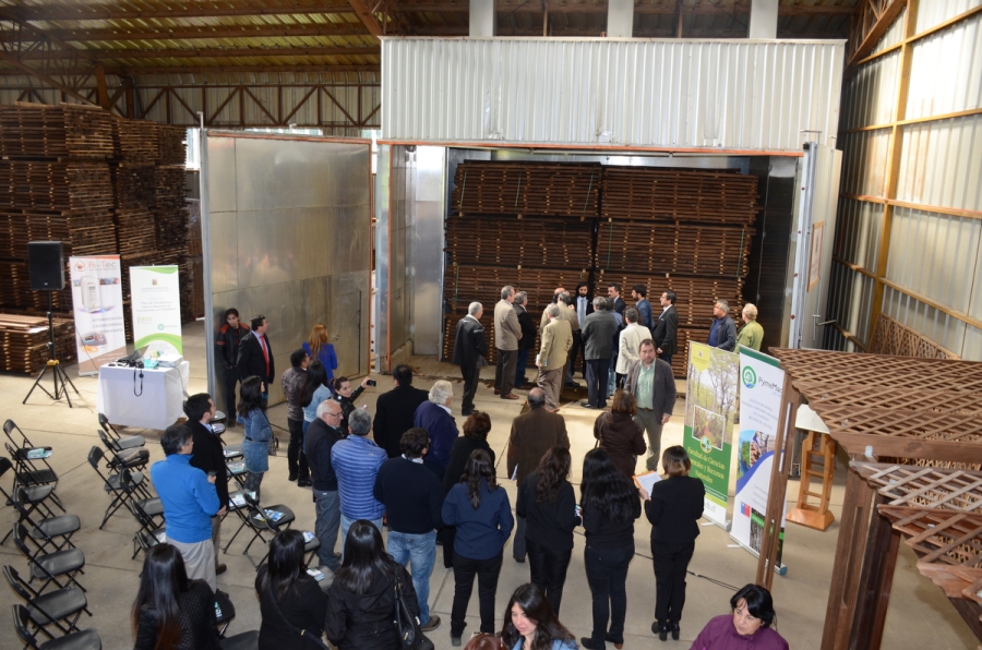Proyecto FIC UACh desarrollará tecnologías de secado eficiente de la madera