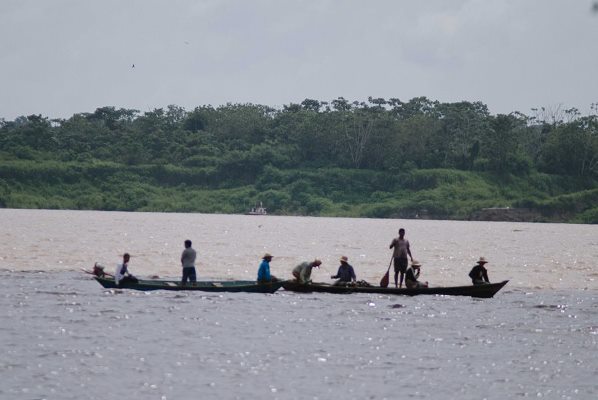 Estudio revela la causa del dramático aumento en inundaciones extremas en el Amazonas
