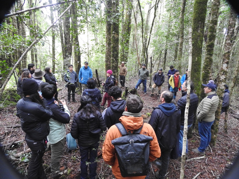 Proyecto del Fondo de Bosque Nativo presentó resultados para el manejo sustentable