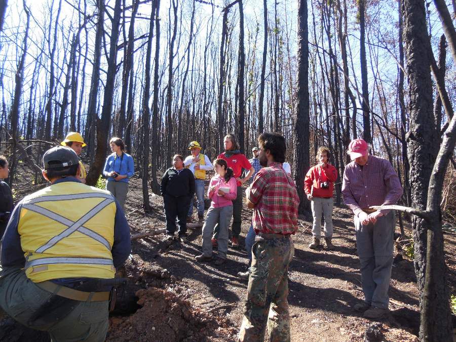 Estudiantes de postgrado evaluaron bosques nativos luego de incendios en la región del Maule