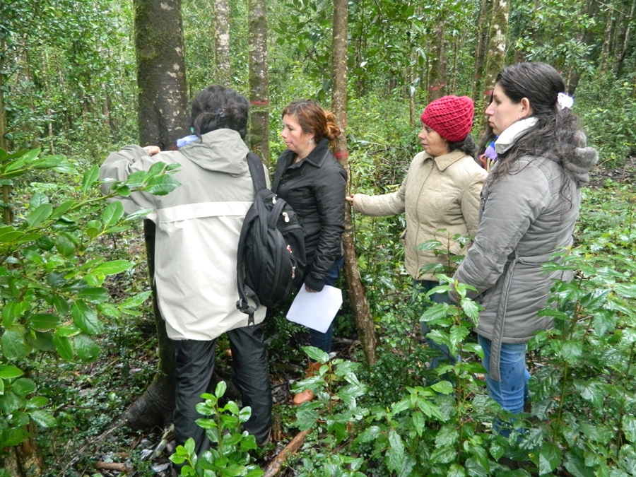 Vecinas del predio Llancahue participaron en proyecto Fondecyt