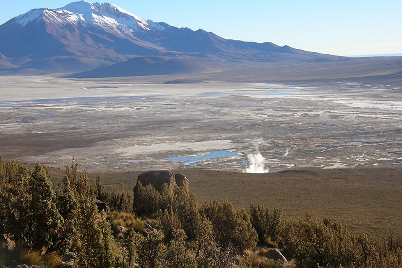 Chilenos revelan historia de la crisis climática escrita en anillos de árboles, corales y hielos