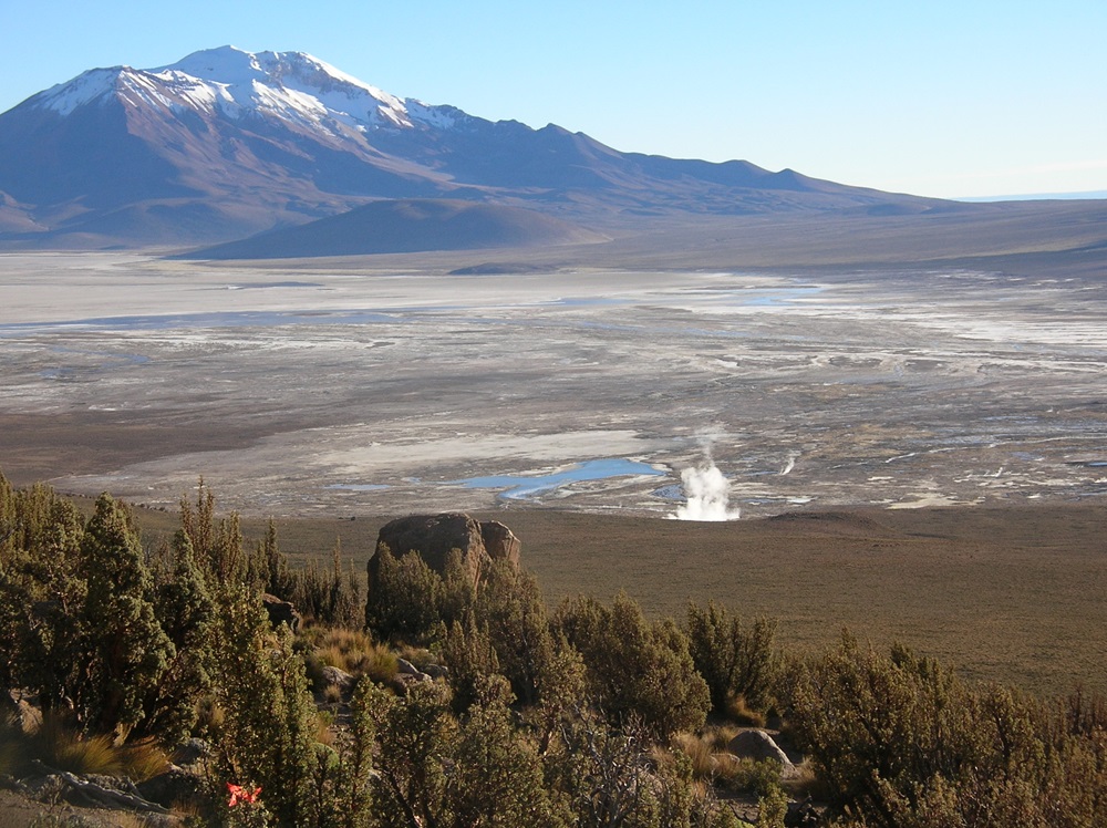 Chilenos revelan historia de la crisis climática escrita en anillos de árboles, corales y hielos