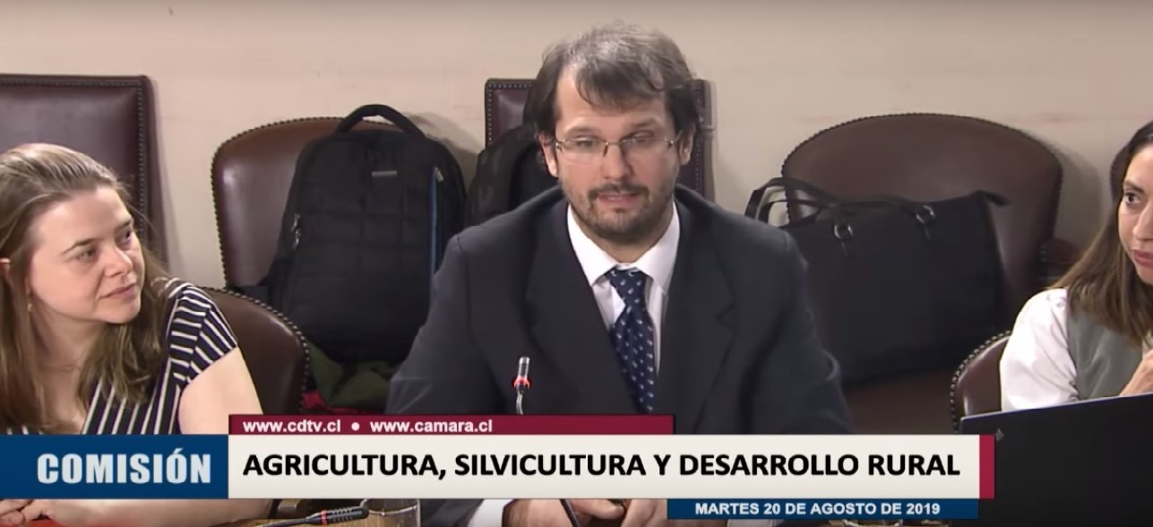 Académico UACh expuso sobre el impacto de perros hacia la fauna silvestre en Cámara de Diputados