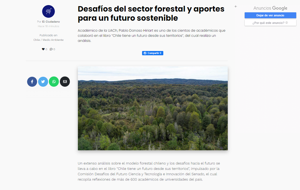 Desafíos del sector forestal y aportes para un futuro sostenible