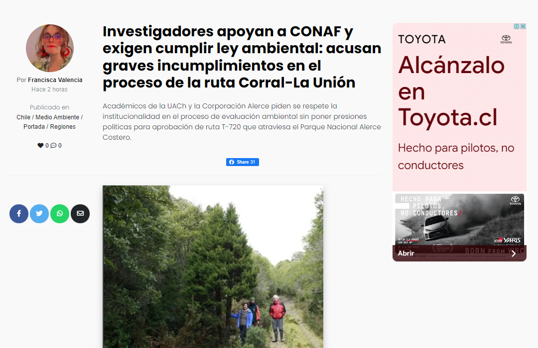 Investigadores apoyan a CONAF y exigen cumplir ley ambiental: acusan graves incumplimientos en el proceso de la ruta Corral-La Unión