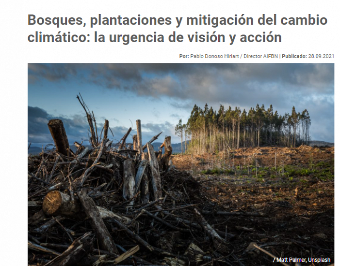 Bosques, plantaciones y mitigación del cambio climático: la urgencia de visión y acción