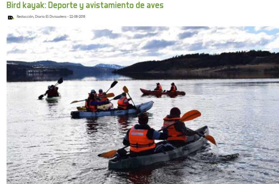 Bird kayak: Deporte con el avistamiento de aves