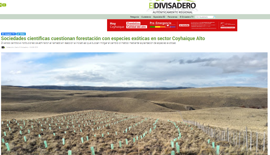 Sociedades científicas cuestionan forestación con especies exóticas en sector Coyhaique Alto