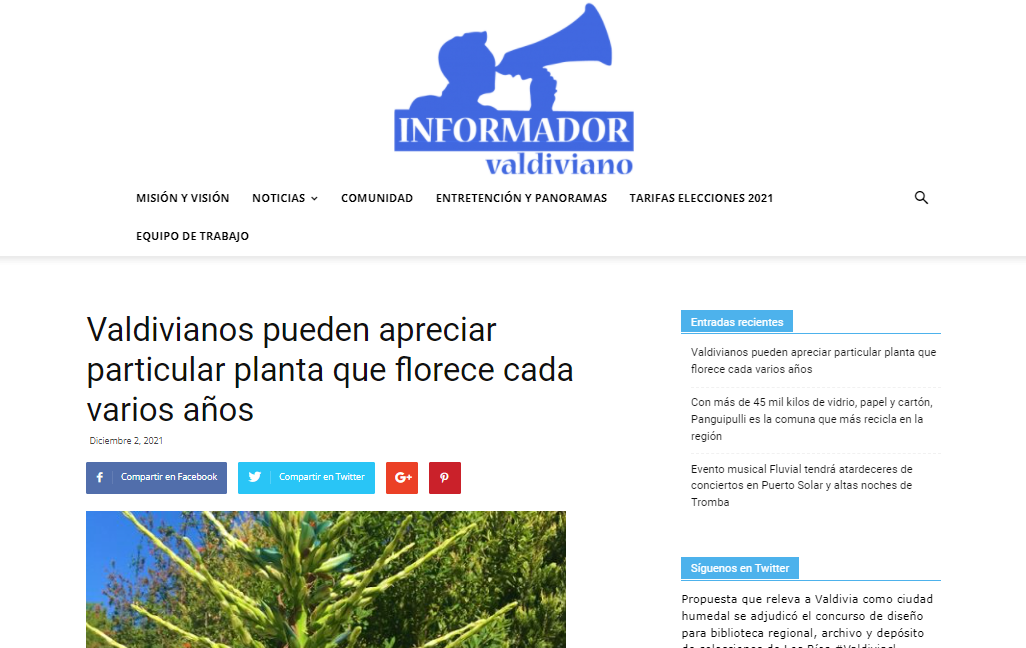 Valdivianos pueden apreciar particular planta que florece cada varios años en Arboretum