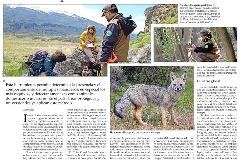 El fotomonitoreo con cámara trampa es clave para conservar la fauna silvestre