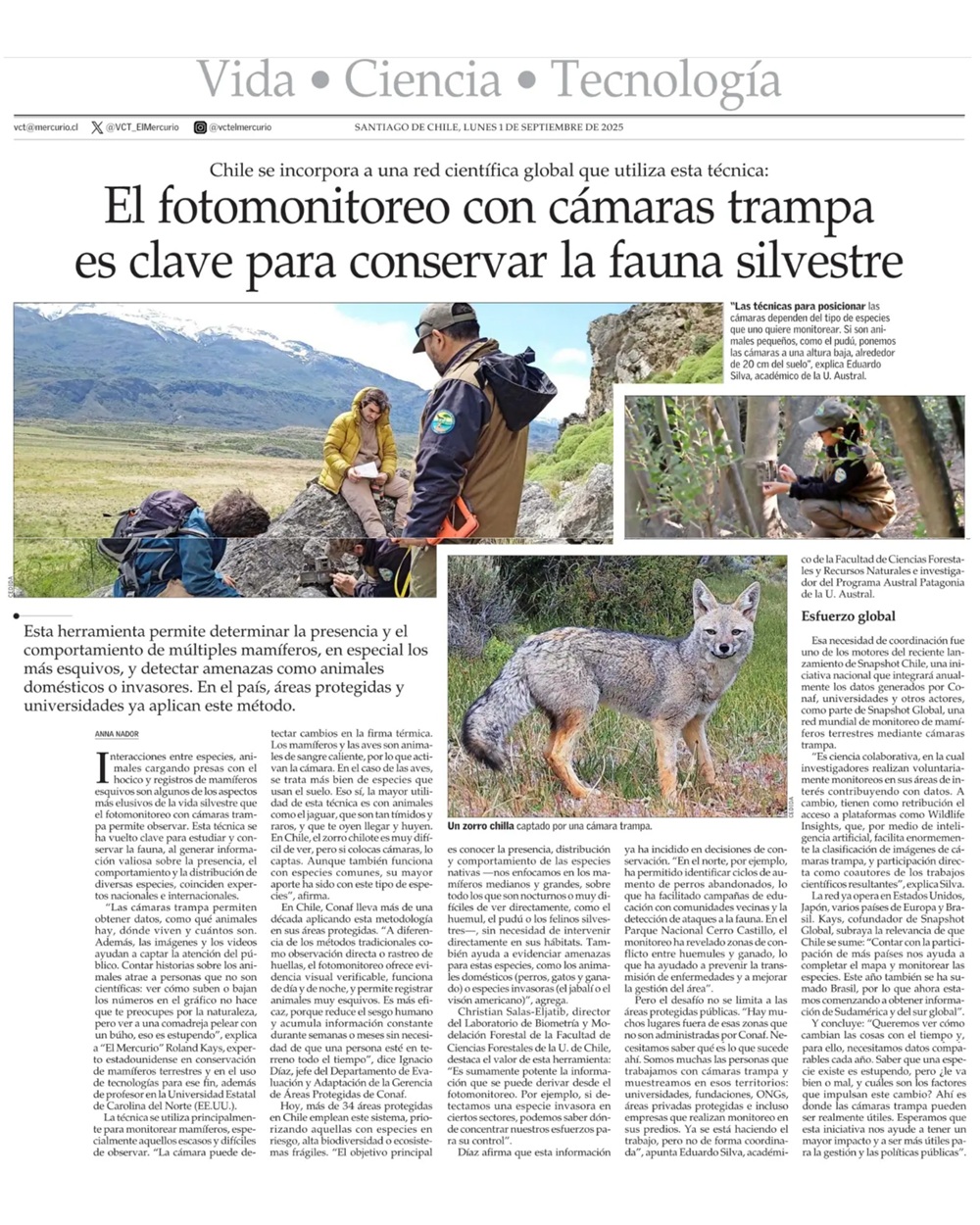 El fotomonitoreo con cámara trampa es clave para conservar la fauna silvestre