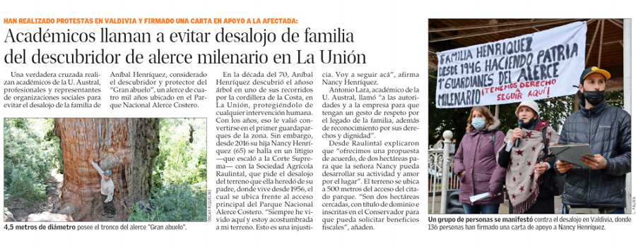 Académicos llaman a evitar desalojo de familia del descubridor de alerce milenario en La Unión