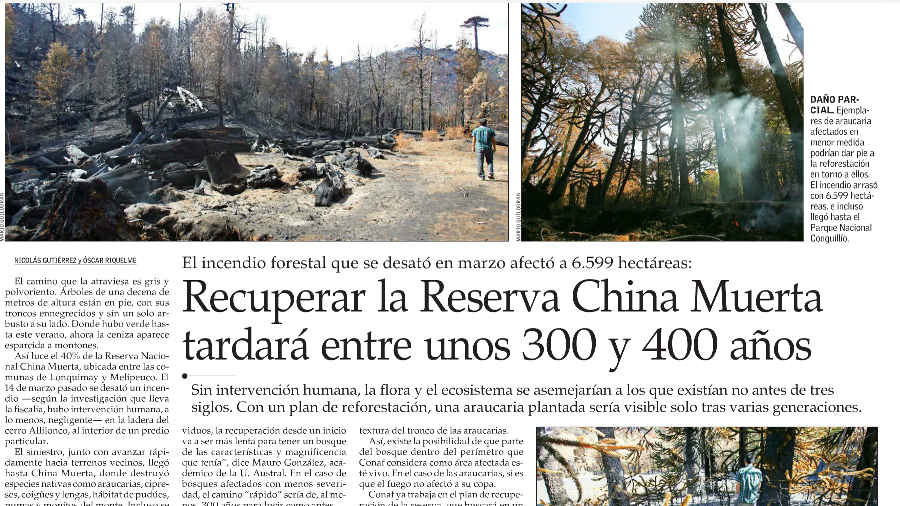 Recuperar la Reserva China Muerta tardará entre 300 y 400 años