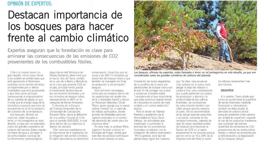 Destacan importancia de bosques para hacer frente a cambio climático