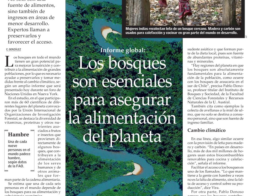 Los bosques son esenciales para asegurar la alimentación del planeta