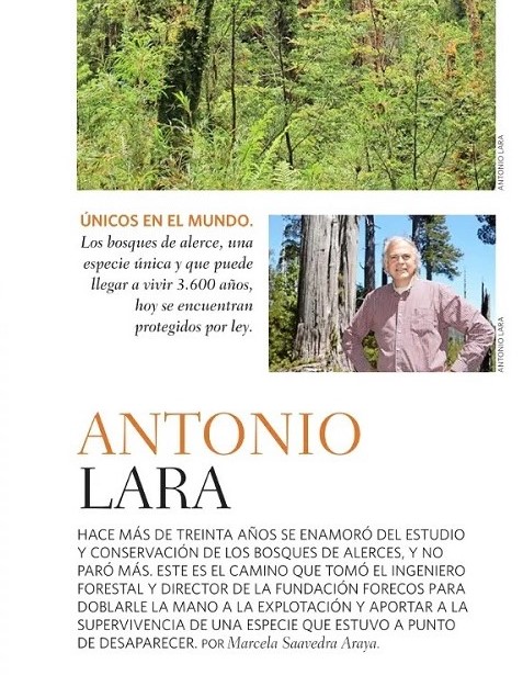 Revista del Domingo: Antonio Lara