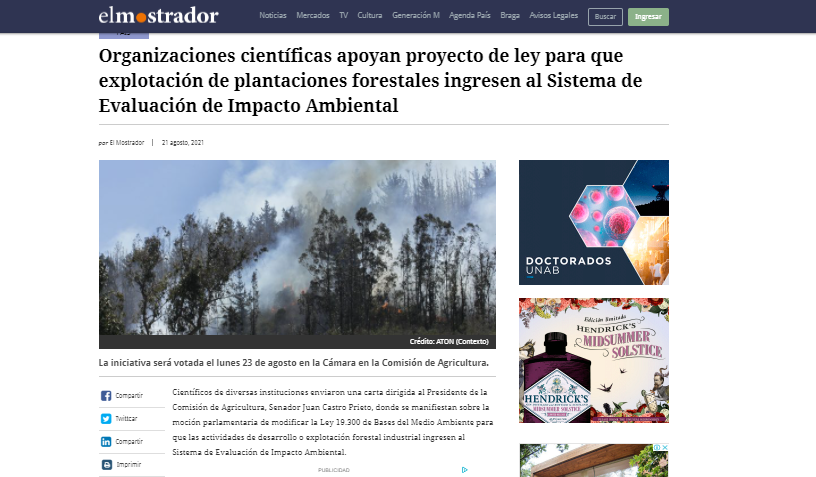 Organizaciones científicas apoyan proyecto ley para que explotación de plantaciones forestales ingresen al Sistema de Evaluación de Impacto Ambiental