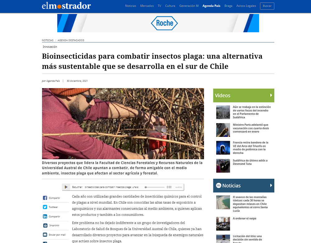 Bioinsecticidas para combatir insectos plaga: una alternativa más sustentable que se desarrolla en el sur de Chile