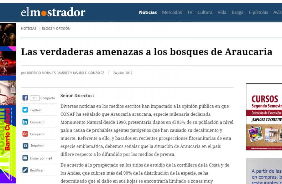 Las verdaderas amenazas a los bosques de Araucaria