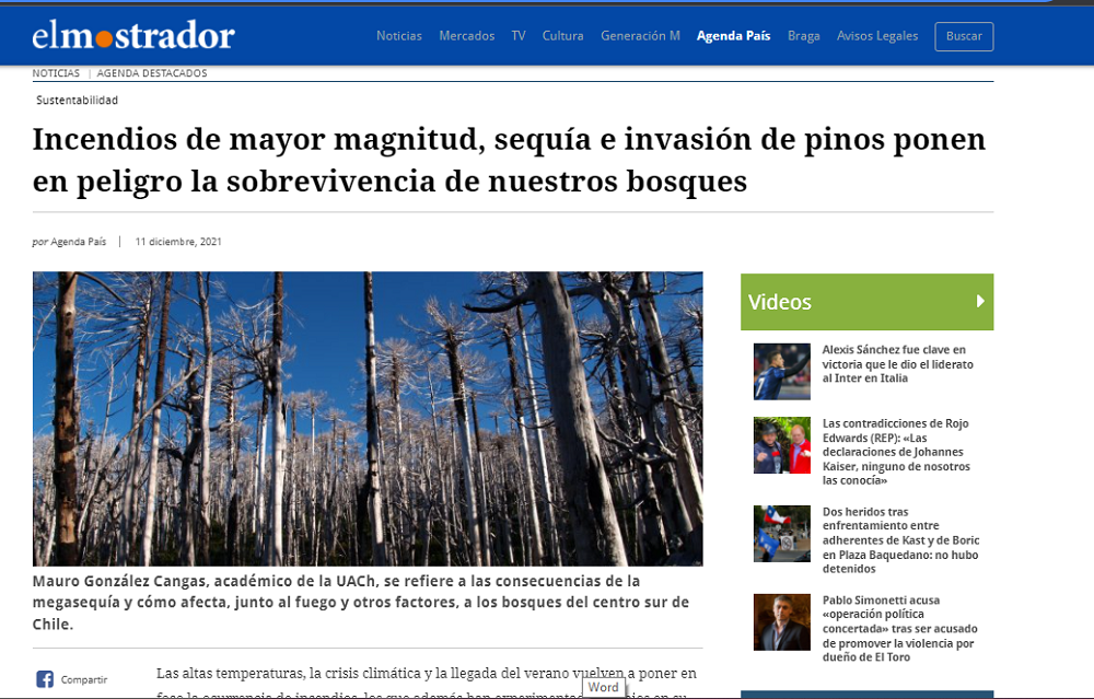Incendios de mayor magnitud, sequía e invasión de pinos ponen en peligro la sobrevivencia de nuestros bosques