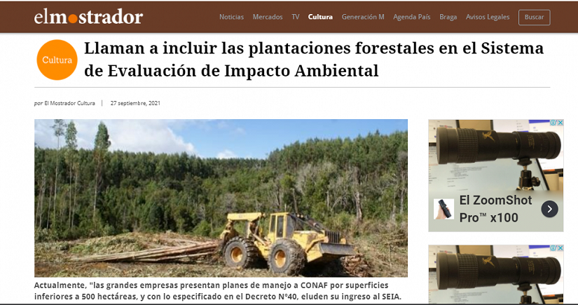 Llaman a incluir las plantaciones forestales en el Sistema de Evaluación de Impacto Ambiental