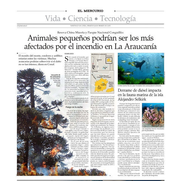 Animales pequeños podrían ser los más afectados por incendio en la Araucanía