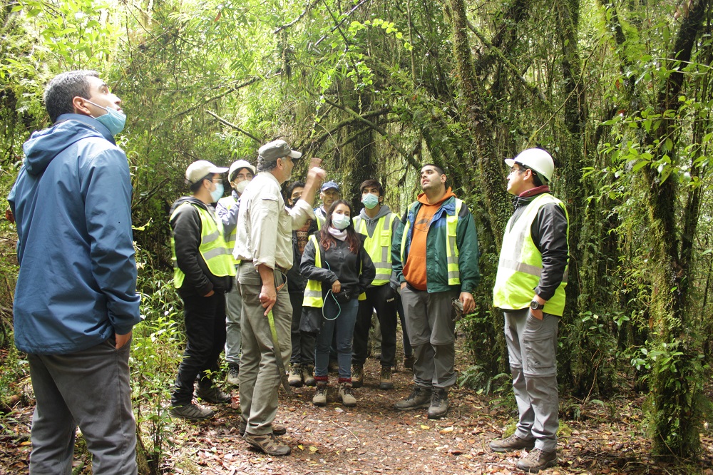 Gira de Ingeniería Forestal muestra una visión integral de los bosques