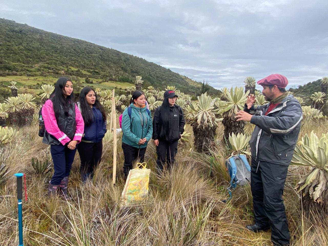 Ciencia y vinculación: académico UACh difunde estudios sobre suelos en ecosistemas frágiles en Colombia