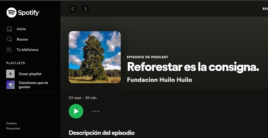 Reforestar es la consigna